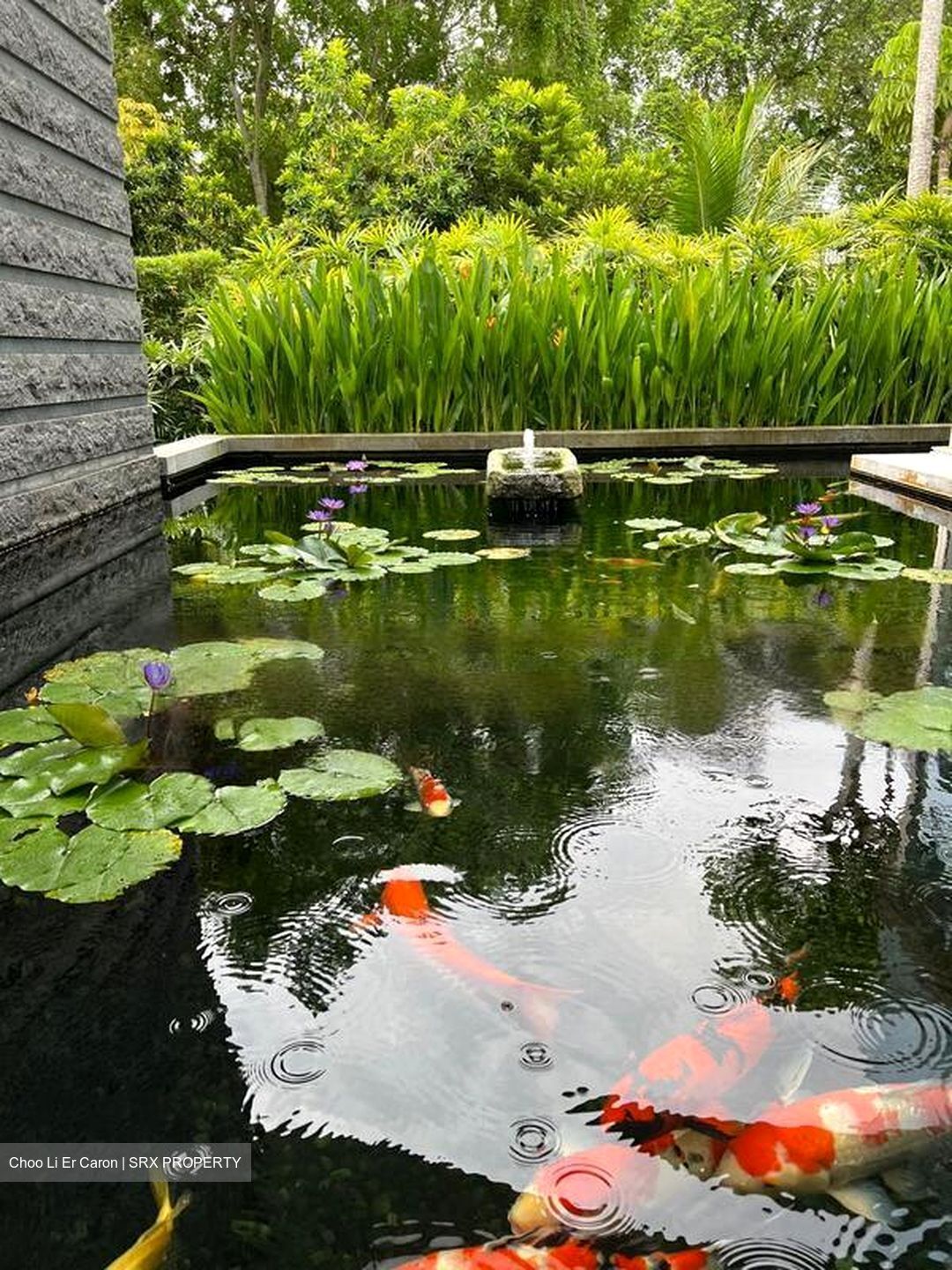 Victoria Park (D10), Detached #467184631